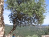 2013_france_10