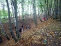 nasavrky_kelti_14