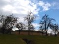 Terezin_23