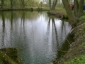 nemosicka_stran_5