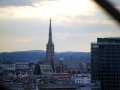 Viden_28