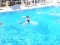 gargano_4FH16