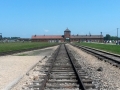 osvetim_29