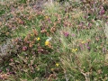lands_end4