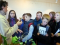 houby_03
