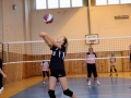 volejbal_35