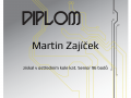 Zajicek Martin