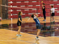 badminton_Ferencik_02