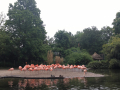 Zoo_2019_05