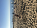 gargano_2019_101