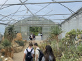 botanicka_4
