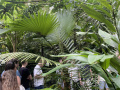 botanicka_6