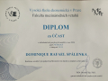 diplom_Dominik