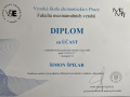 diplom_Simon