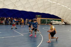 basket2