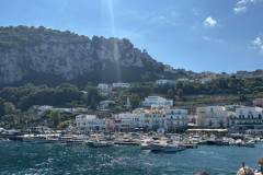 1000226392