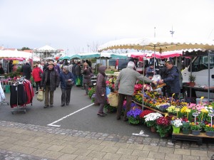 IMG_0306