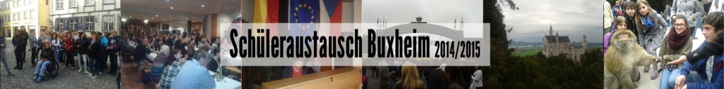 buxheim_2014_bayer